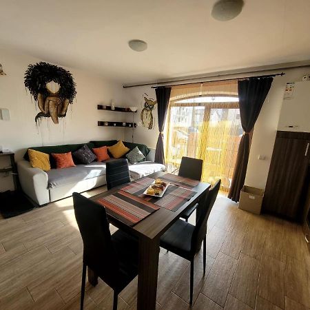 Dds Apartment Braşov Extérieur photo
