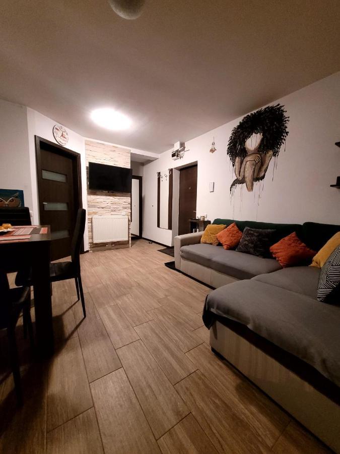 Dds Apartment Braşov Extérieur photo