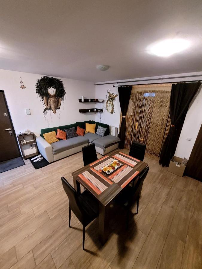 Dds Apartment Braşov Extérieur photo