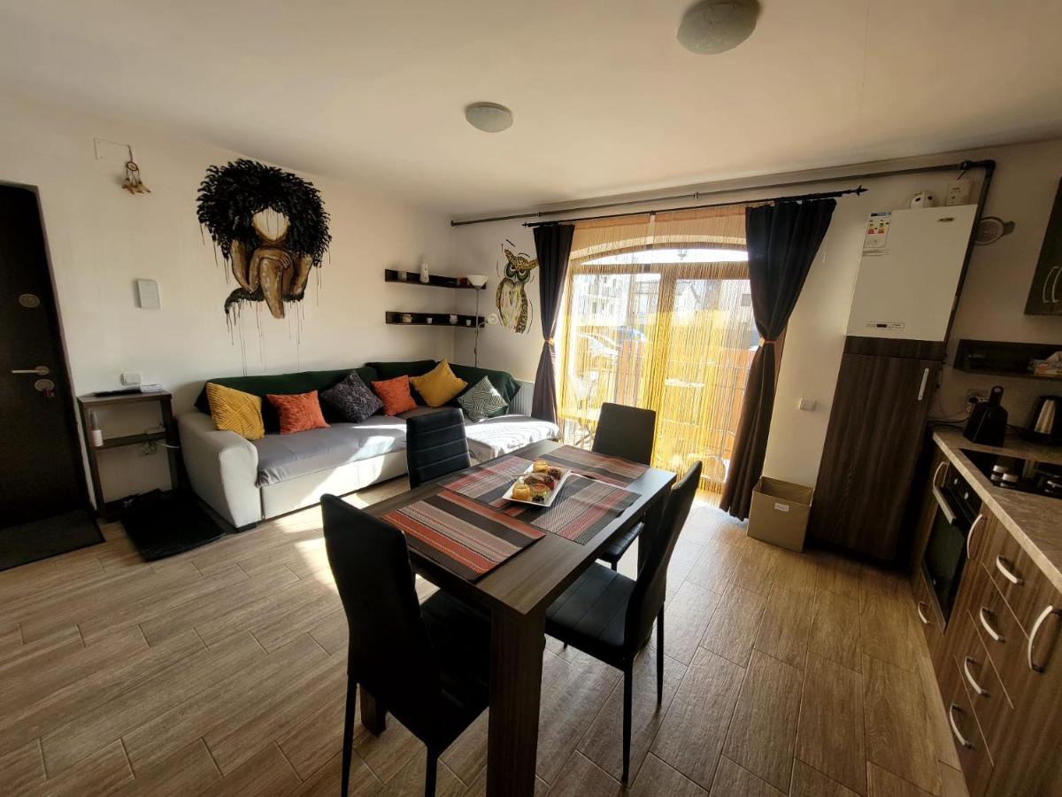 Dds Apartment Braşov Extérieur photo